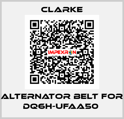 Alternator Belt for DQ6H-UFAA50  Clarke