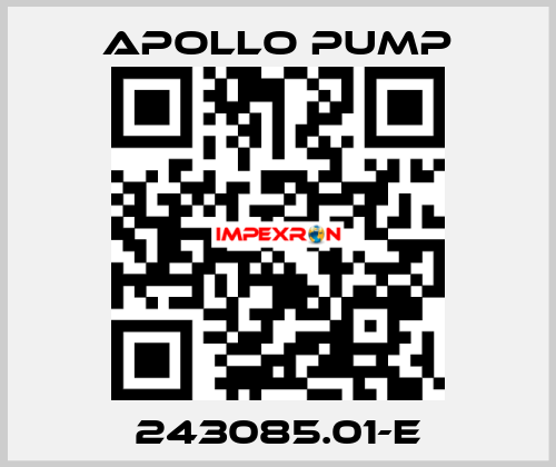 243085.01-E Apollo pump