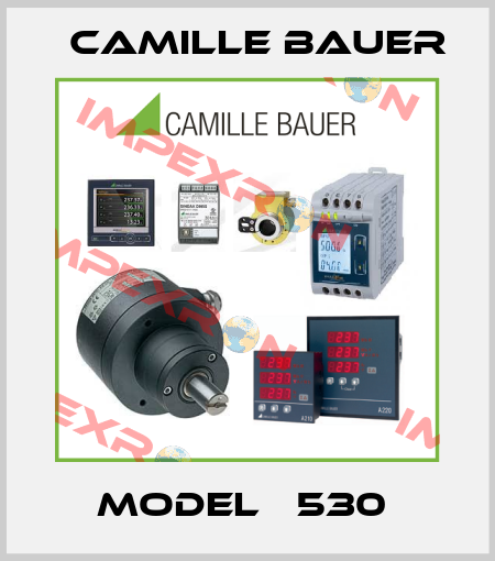 Model Р530  Camille Bauer