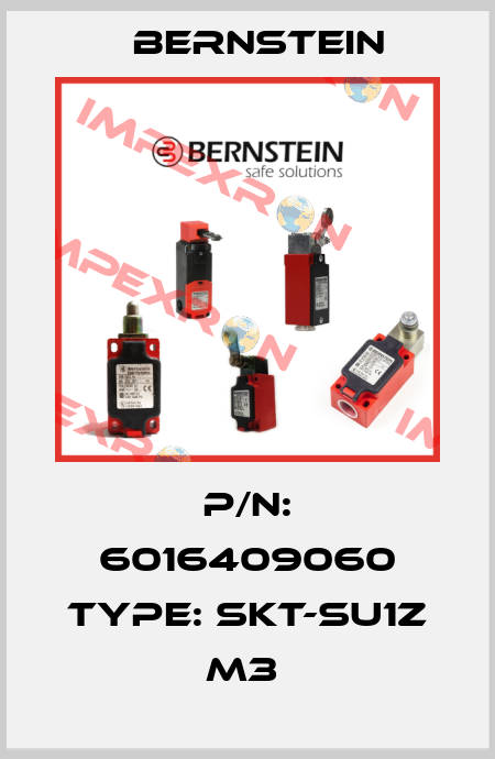 P/N: 6016409060 Type: SKT-SU1Z M3  Bernstein