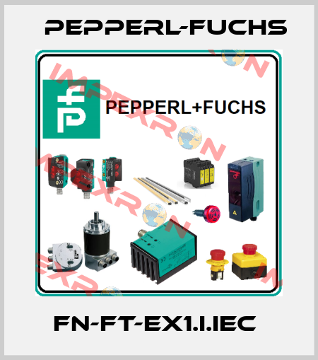 FN-FT-EX1.I.IEC  Pepperl-Fuchs