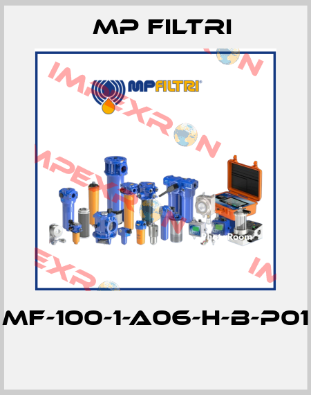 MF-100-1-A06-H-B-P01  MP Filtri