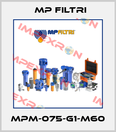 MPM-075-G1-M60 MP Filtri