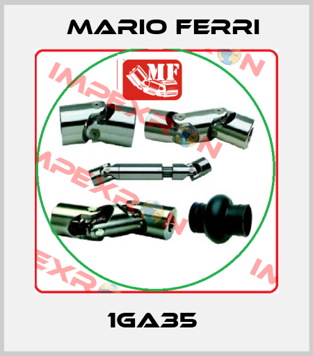 1GA35  Mario Ferri