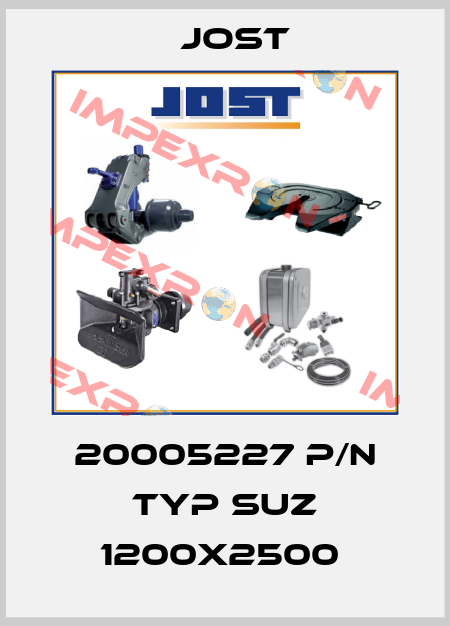 20005227 P/N TYP SUZ 1200X2500  Jost