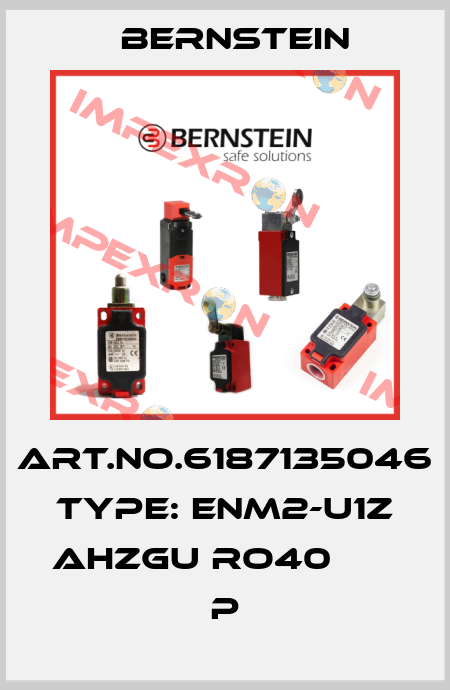 Art.No.6187135046 Type: ENM2-U1Z AHZGU RO40          P Bernstein