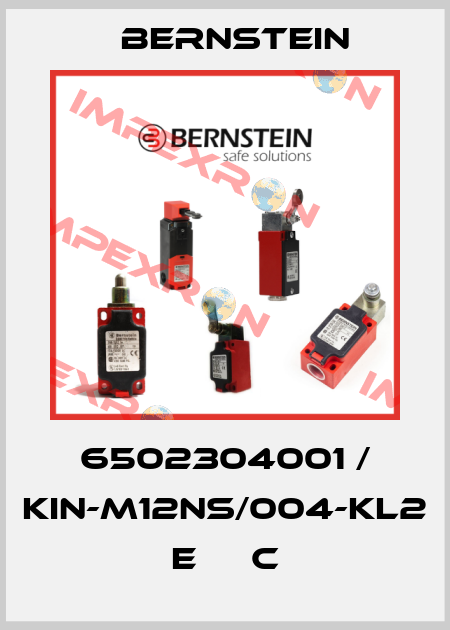6502304001 / KIN-M12NS/004-KL2      E     C Bernstein