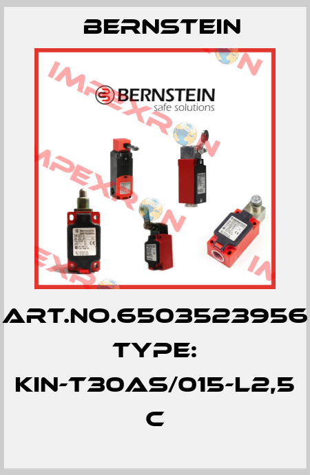 Art.No.6503523956 Type: KIN-T30AS/015-L2,5           C Bernstein