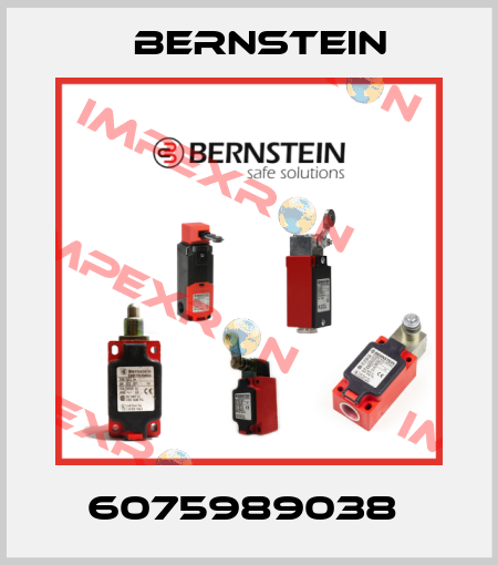 6075989038  Bernstein
