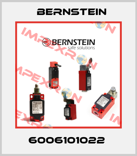 6006101022  Bernstein