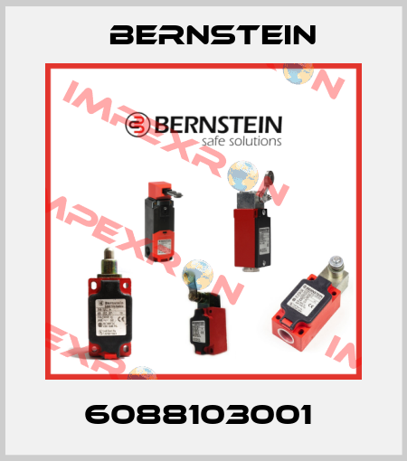 6088103001  Bernstein