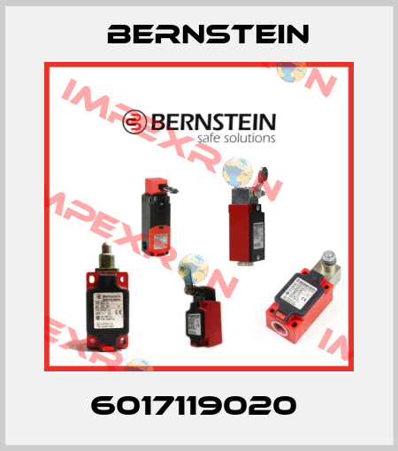 6017119020  Bernstein