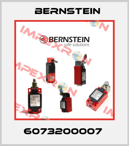 6073200007  Bernstein