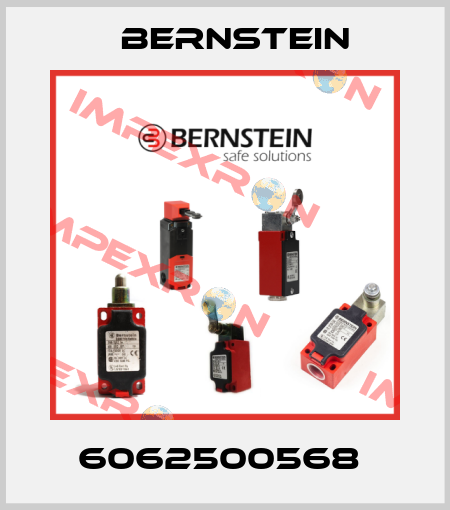 6062500568  Bernstein