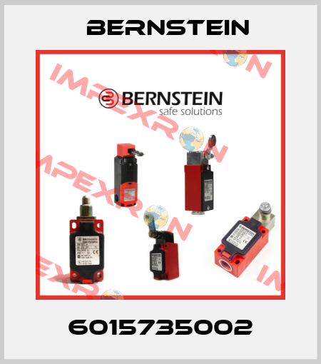 6015735002 Bernstein