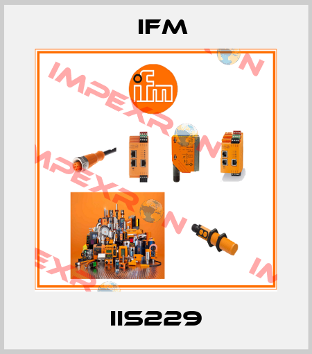 IIS229 Ifm