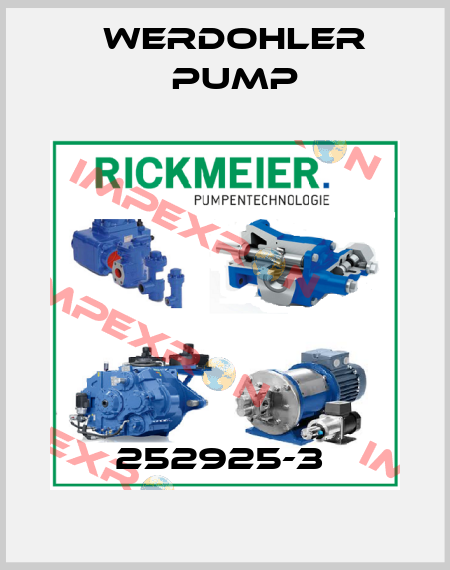 252925-3  Werdohler Pump