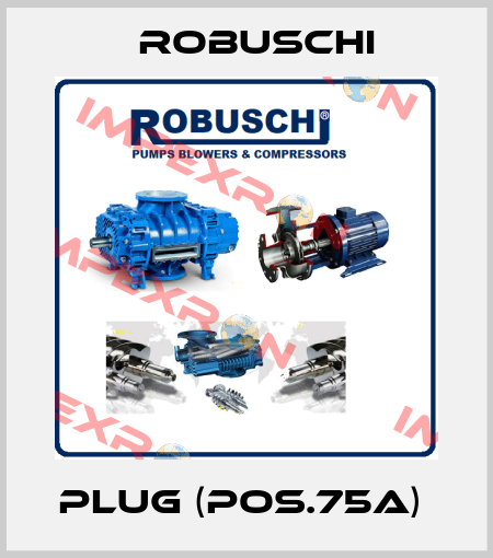Plug (Pos.75A)  Robuschi