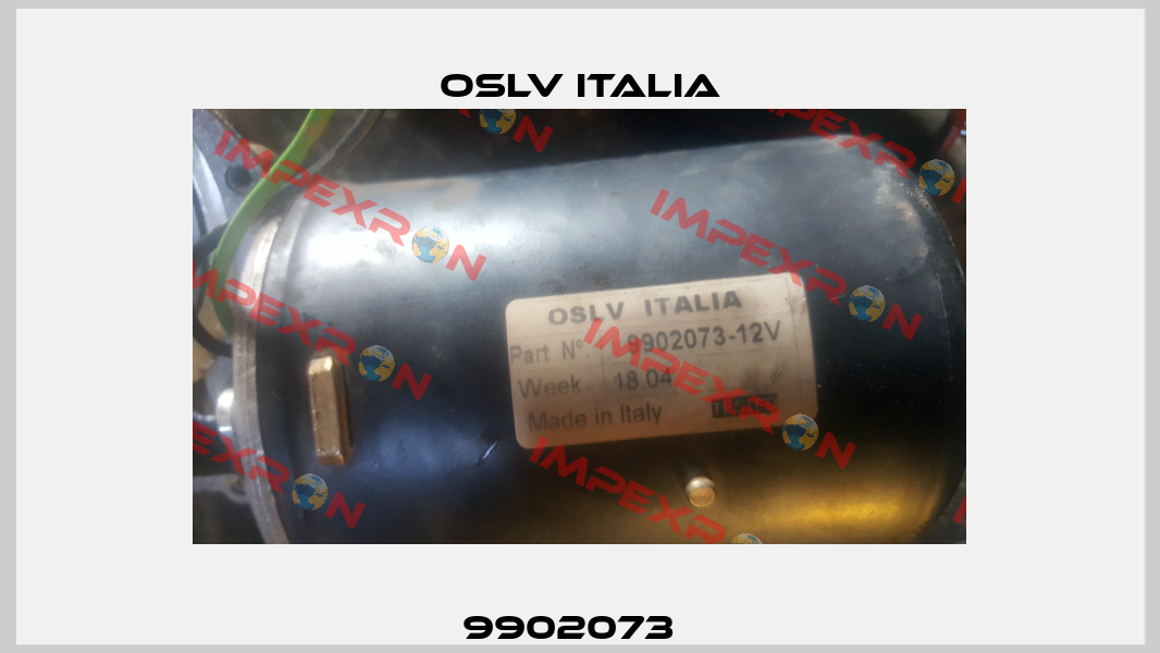 9902073   OSLV Italia