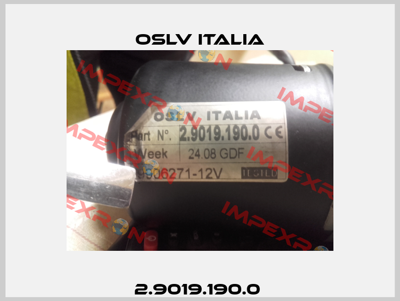 2.9019.190.0  OSLV Italia