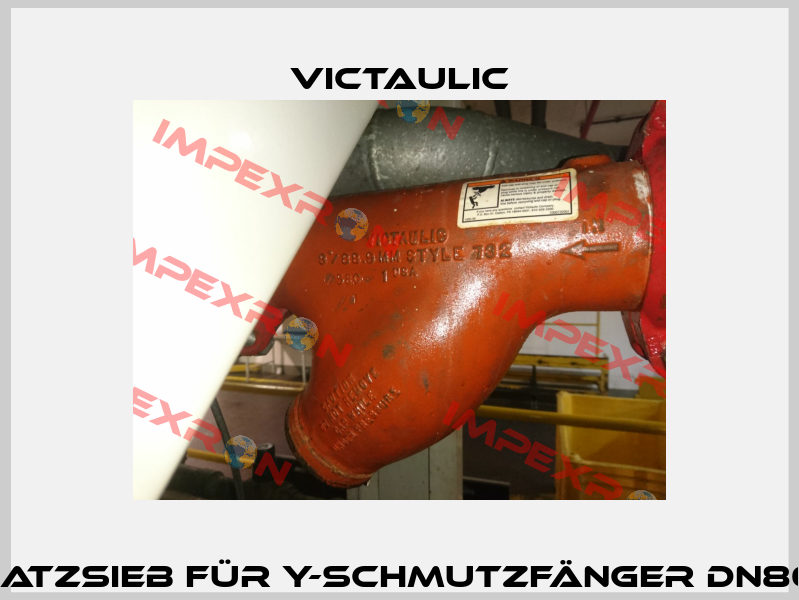 Ersatzsieb für Y-Schmutzfänger DN80/3"  Victaulic