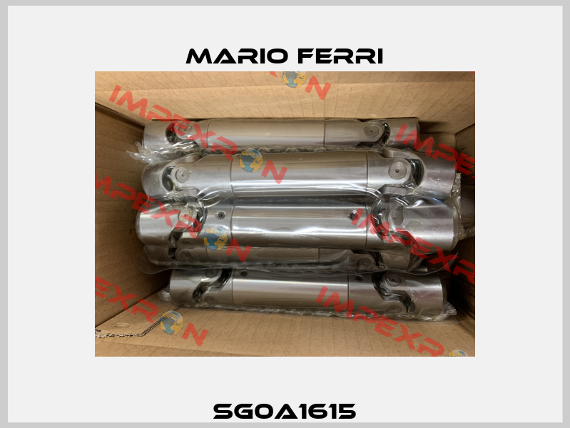 SG0A1615 Mario Ferri