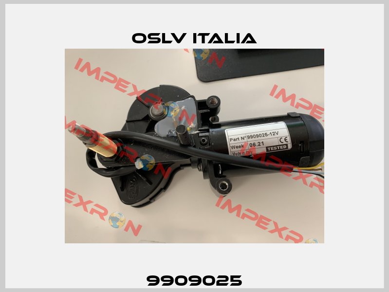 9909025 OSLV Italia