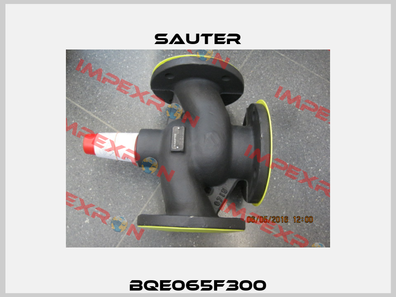 BQE065F300 Sauter
