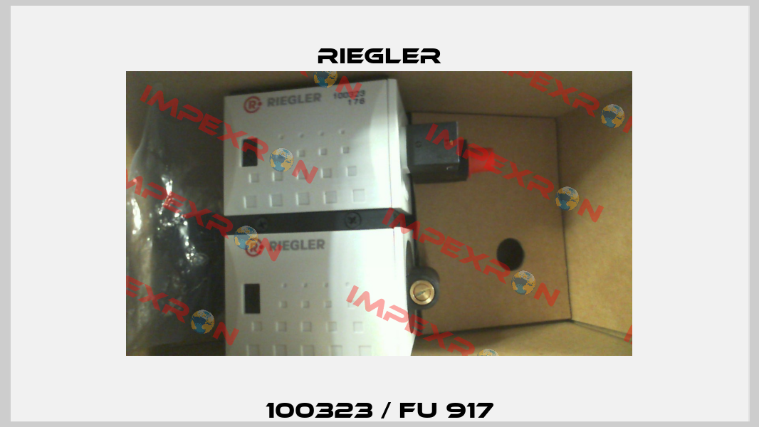 100323 / FU 917 Riegler