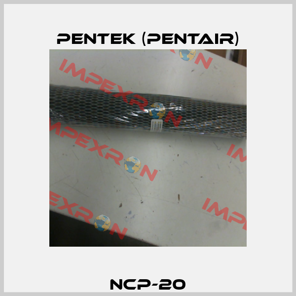 NCP-20 Pentek (Pentair)
