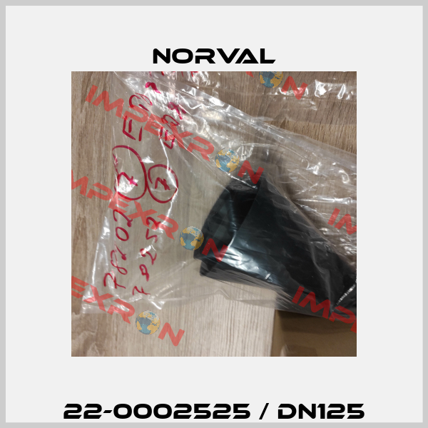 22-0002525 / DN125 Norval