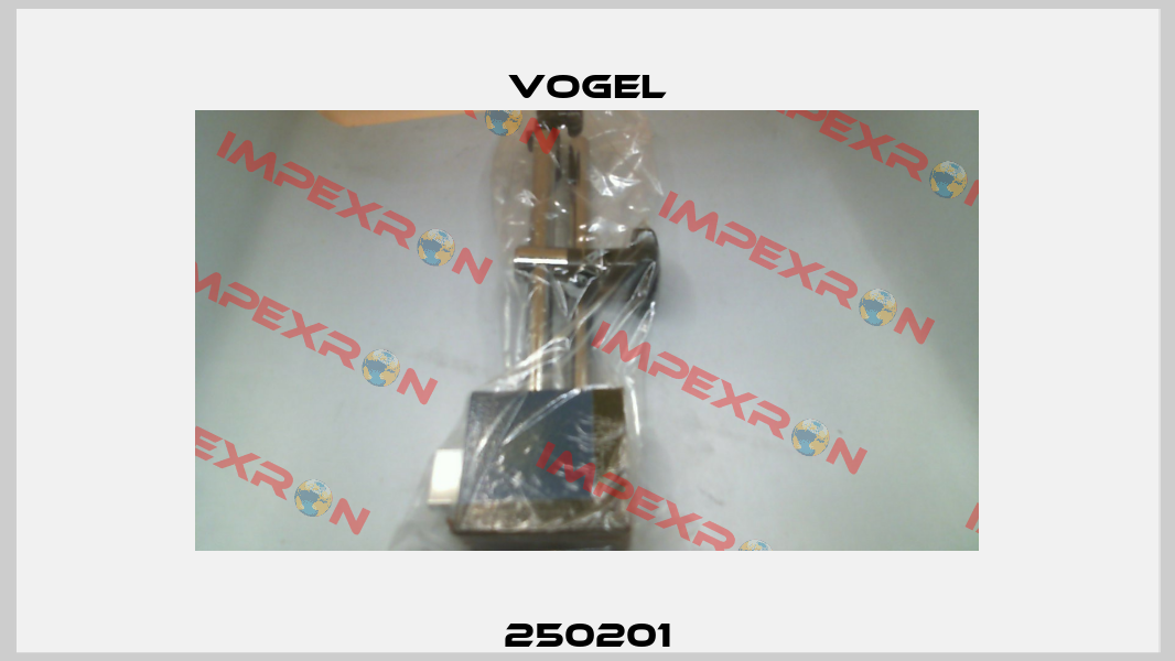 250201 Vogel