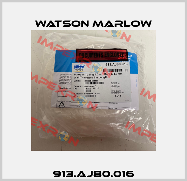913.AJ80.016 Watson Marlow